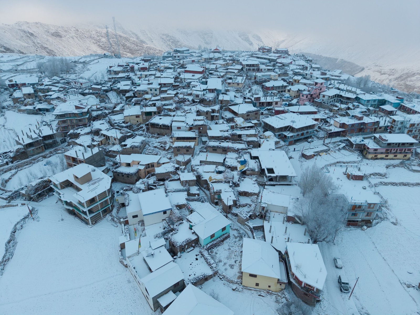 Shimla manali family tour 