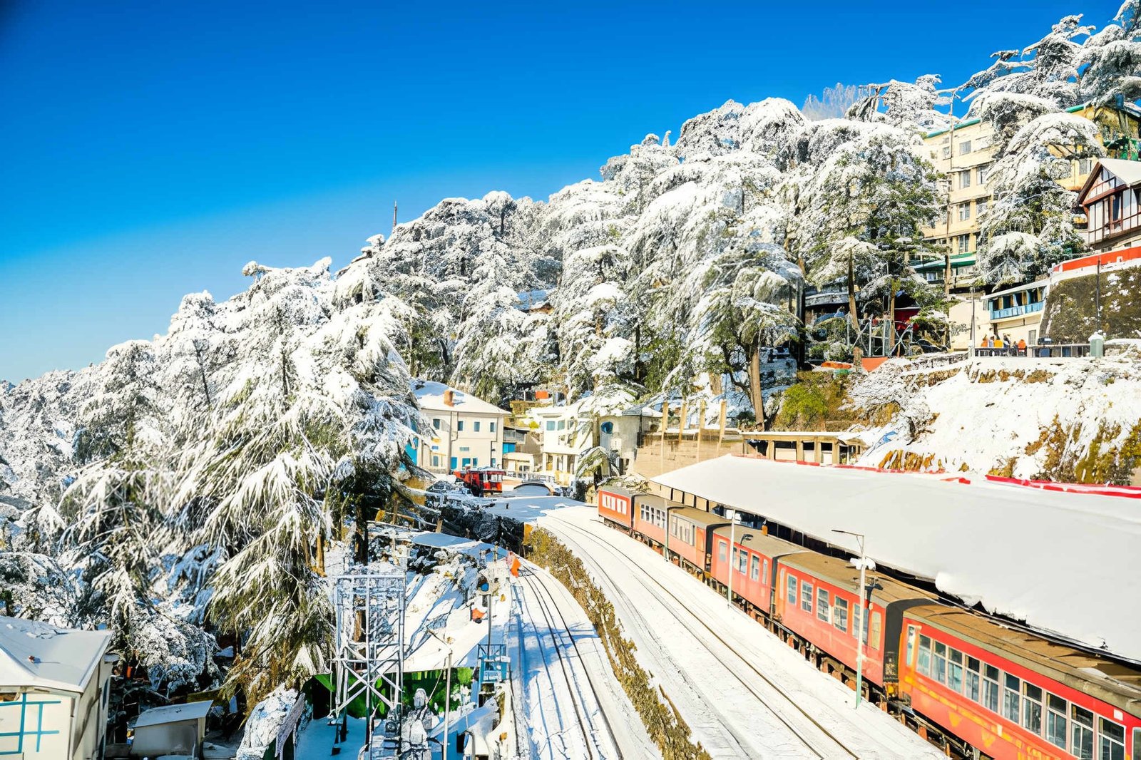 Shimla manali family tour 